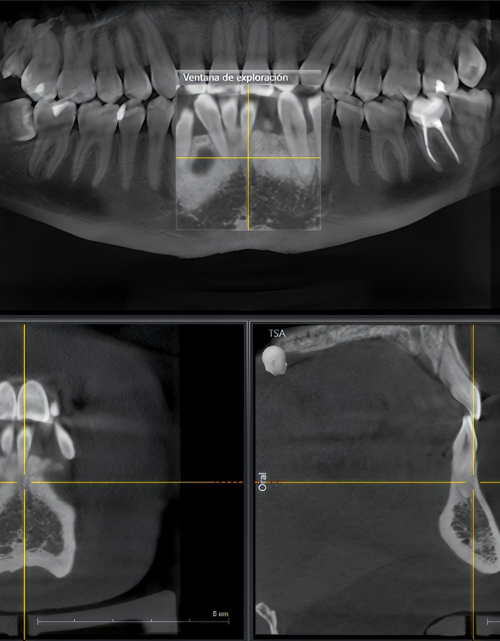 KMD Digital Orthodontics